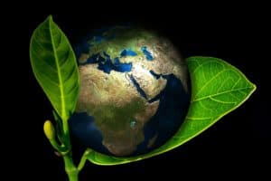 Working Towards A Socially Responsible Business 1
