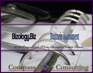 bizology business assessment 3 1