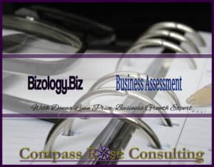 bizology business assessment