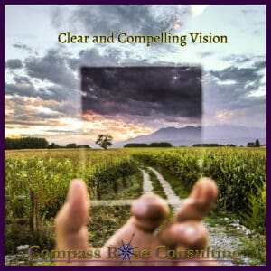 vision 1