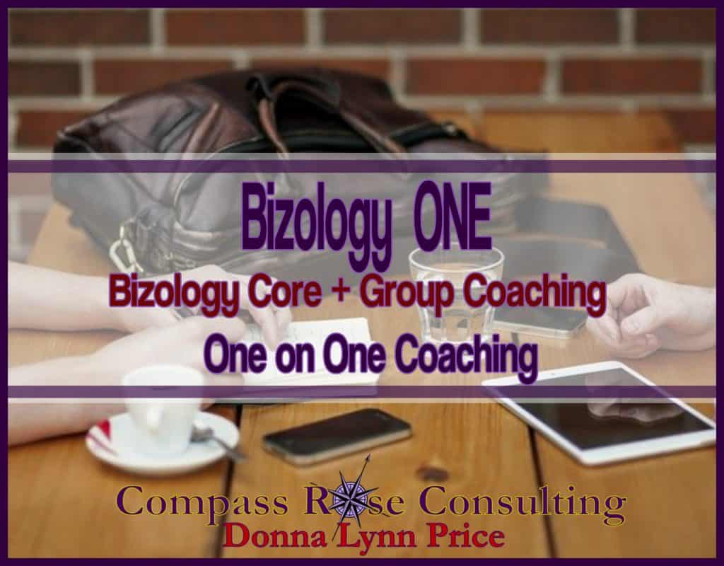 Bizology Membership 8