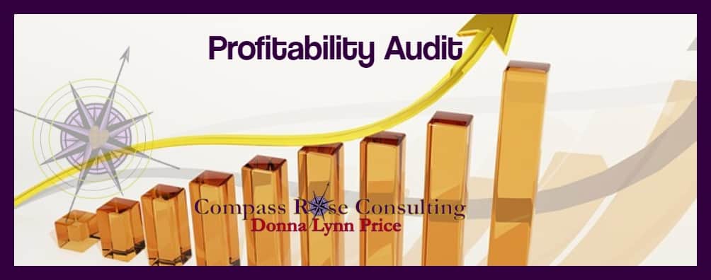 The Profitability Audit